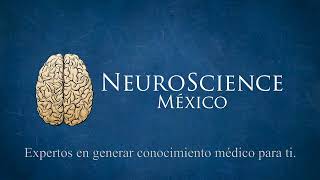 Abordajes de las neuropatías periféricas  NeuroScience [upl. by Aisekal260]