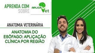 Anatomia Veterinária  Anatomia do esôfago  Aplicações clínicas por região [upl. by Croydon]