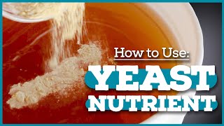 YEAST NUTRIENT What even is it Home Brewing Basics [upl. by Vince]