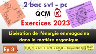 2 bac pc svt exercice 2023 ep 3 libération de lénergie emmagasinée dans la matière organique [upl. by Yenhoj]