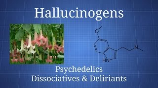 Hallucinogens How Psychedelics Dissociatives amp Deliriants Differ [upl. by Aniuqal]