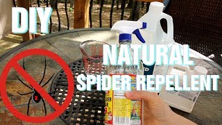 DIY Natural Spider Repellent [upl. by Hamrah472]