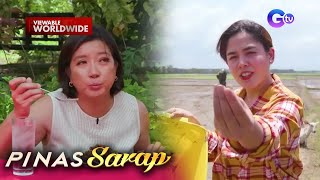 Peste sa palayan ginagawang pulutan Full Episode  Pinas Sarap [upl. by Myca]