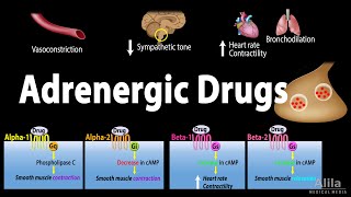 Adrenergic Drugs  Pharmacology Animation [upl. by Eiznek]