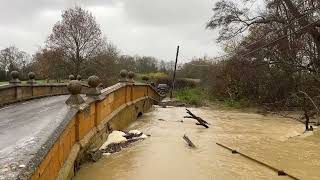 The River Stour in flood  Warwickshire [upl. by Idnor857]