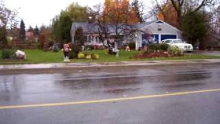 Nancy Today Painted Hydrants in Tweed Ontario Canada 1 ASMR [upl. by Rapp]