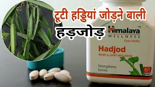 Himalaya Hadjod capsules benefit टूटी हुई हड्डियों को जल्दी जोड़ने वाली हड़जोड़ [upl. by Inava]