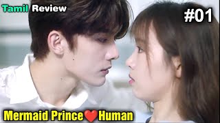 Mermaid Prince Fall In love with Human💕Fantasy Drama in Tamil Part1ktalktamil TamilReview [upl. by Ariahaj]