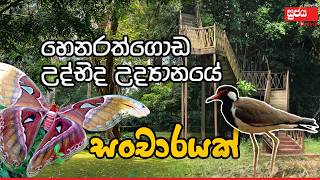 Botanical Garden Henarathgoda Gampaha  හෙනරත්ගොඩ උද්භිද උද්‍යානයේ සංචාරයක් [upl. by Butterfield]