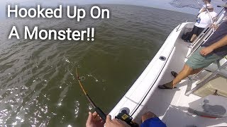 Inshore Fishing Edisto Island SC Hooked Up On Something HUGE [upl. by Azmah]