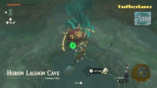 Horon Lagoon Cave BubbulFrog Location  Zelda Tears of The Kingdom [upl. by Notgnilliw838]