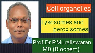 Lysosomes amp Peroxisomes Muralis Simplified Biochemistry [upl. by Oilerua]