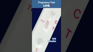 LIVE Pregnancy Test 🧪  How to use pregnancy test kit  Positive pregnancy test pregnancytest [upl. by Lietman804]