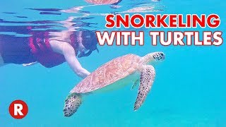 Swimming With Turtles in St Thomas USVI  St Thomas Adventure Tours  US Virgin Islands [upl. by Hawger361]