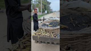 Must try Mouthwatering Masala Sweet Corns 🌽 Unique Street Food of Pakistan 😍 streetfood shorts [upl. by Maighdiln965]