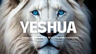 Prophetic Worship Instrumental YESHUAJesus Image Intercession Soaking Worship [upl. by Teddi537]