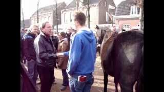 Paardenmarkt Lottum 2012 [upl. by Kele]