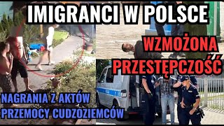 Imigranci w Polsce  akty przemocy i przestępczości w Polsce Ostatnie informacje odnośnie zbrodni [upl. by Rezeile]