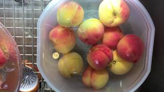 How to Freeze Peaches The Quick and Easy Way [upl. by Nnael]