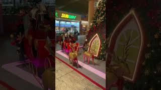 Bangalore Airport Kempegowda international Airport Terminal 2 saumyatiwarivlog youtubeshorts [upl. by Sekyere177]