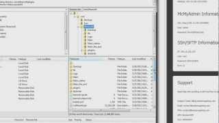 VPS Using SFTP With Your McMyAdmin Control Panel [upl. by Ranson]