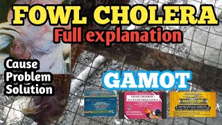 FOWL CHOLERA TREATMENT AND HOW TO AVOID IT FULL EXPLANATION [upl. by Orfurd]