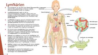 Immunsystemets organisation  Biologi 2 100 p [upl. by Kit]