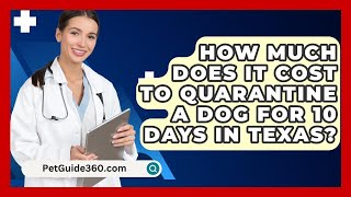 How Much Does It Cost To Quarantine A Dog For 10 Days In Texas  PetGuide360com [upl. by Shelli]