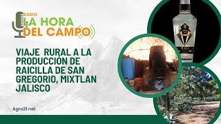 Viaje Rural Producción de Raicilla de San Gregorio Mixtlán Jalisco [upl. by Aoh]