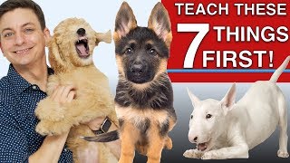 How to Teach The First 7 Things To Your Dog Sit Leave it Come Leash walking Name [upl. by Nehte]