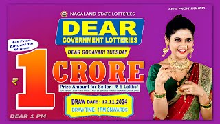 LOTTERY LIVE 1PM TODAY 12112024  Morning Nagaland Lottery Sambad LIVE [upl. by Moersch]