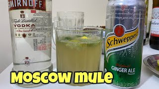 How to make Moscow Mule at Home  Easy Moscow mule Cocktail recipe [upl. by Harriott]