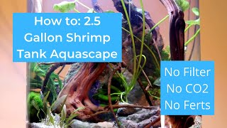 Nano Shrimp Tank Aquascape Tutorial 25 Gallon Jar with Red and Blue Cherry Shrimp [upl. by Lindsley]