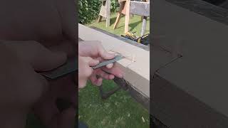 Installing a Door Hinge By Hand in 33 seconds asmr asmrsounds shorts diy handtools carpentry [upl. by Luas444]