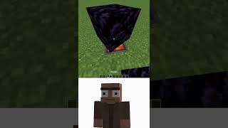 Interesting Features vs Villager Myths Reaction shorts meme minecraft [upl. by Criswell]