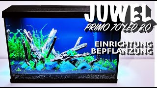 Juwel Primo 70 LED 20  Einrichtung amp Bepflanzung [upl. by Bowles70]