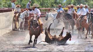 Chava Belmontes quot JOVEN RANCHERO quot  PROMO 2014 [upl. by Melania]