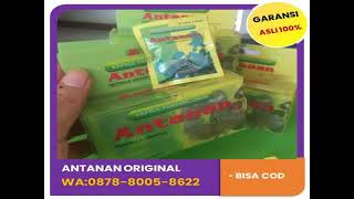 087880058622 Obat Asam Urat Alami Di Kota Palu [upl. by Tippets]