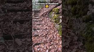 Stairway to Nowhere Exploring the Remains at Elkmont  Gatlinburg TN shorts asmr smokymountains [upl. by Ahsiemac]