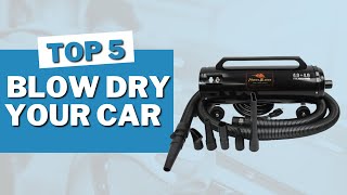 5 Best Ways Blow Dry Your Car in 2023 [upl. by Nnil]