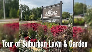 Tour of Suburban Lawn amp Garden [upl. by Olegna]