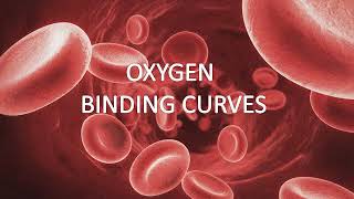 Hemoglobin and Myoglobin structures oxygen binding curves Tstate and Rstate of Hemoglobin [upl. by Maiga]