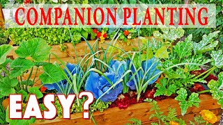 Companion Planting Made Easy How To Guide [upl. by Sommer]