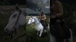 ✅TOP 3 Insane Details in Red Dead Redemption 2 That Add Realism to the Game shorts [upl. by Innoj]