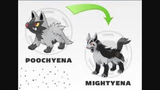 How to Evolve poochyena in pokemon emerald [upl. by Ardnaeed]