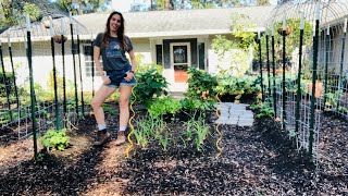 Harvesting Pounds of Food in Winter  Florida Urban Homestead Tour  Winter Garden Florida [upl. by Baoj]