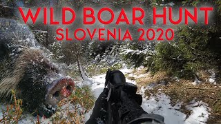 Wild Boar Hunt  Schwarzwildjagd  Chasse au Sanglier  Caccia al Cinghiale  Slovenia 2020 [upl. by Hoy]