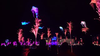 Fête des lumières 2019  rétrospective [upl. by Amsirhc]