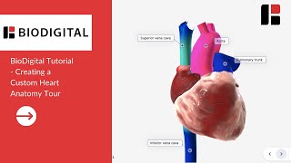 BioDigital Tutorial  Creating a Custom Heart Anatomy Tour [upl. by Aleen]