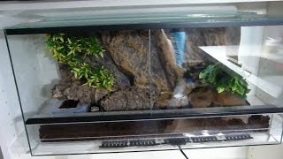 🦎 Como PREPARAR un TERRARIO para GECKO LEOPARDO  Como hacer terrario para Gecko Leopardo [upl. by Wulf]